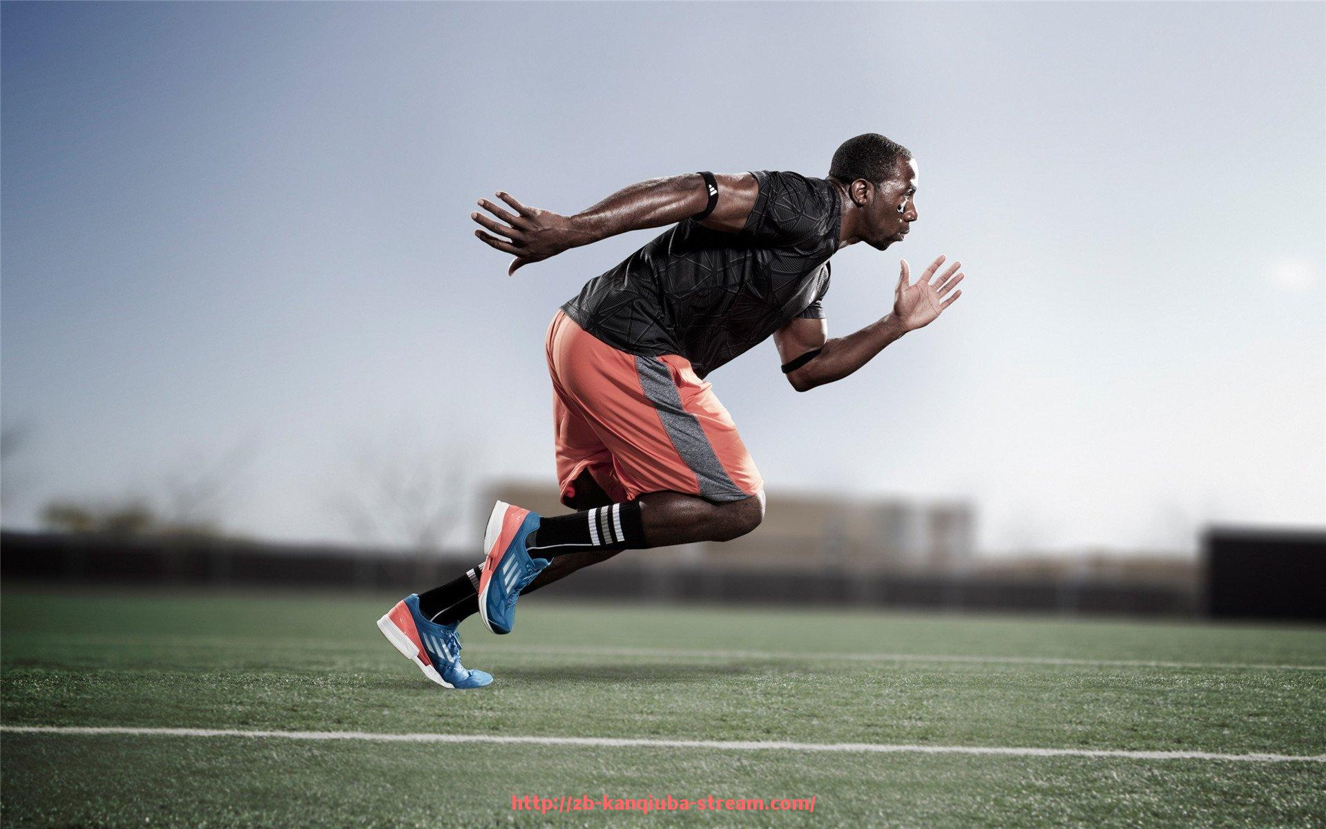 看球吧直播-实用健身器材推荐:最具实用性的健身器材一览