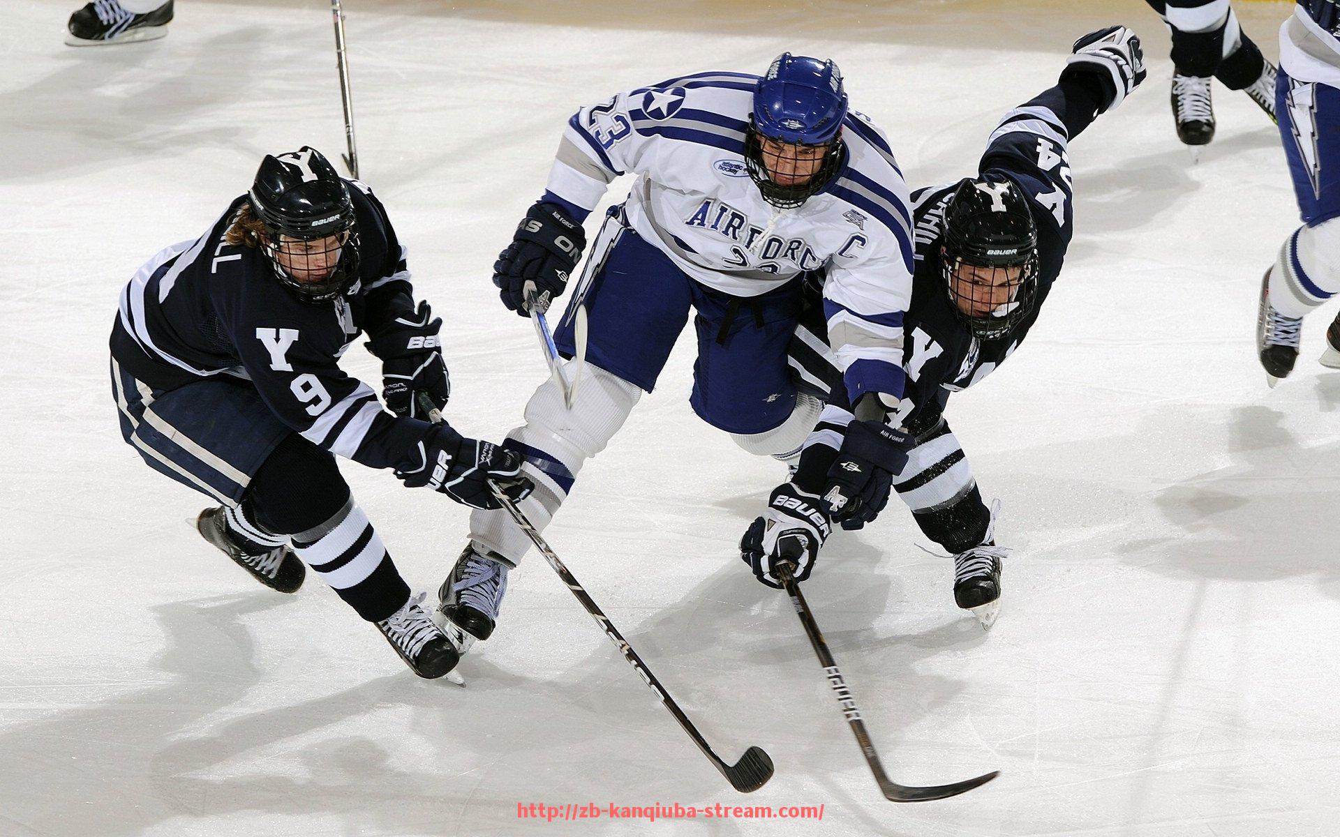 看球吧直播-欧冠高清直播资源汇总及观看指南